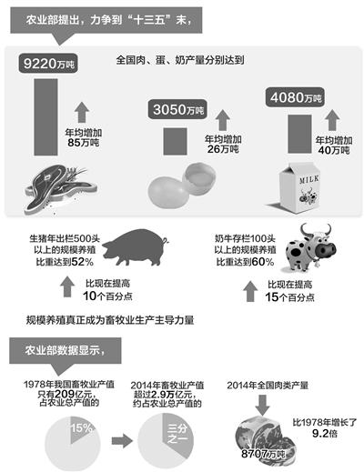 畜牧业转型升级面临挑战日益复杂 以三变求“三保”