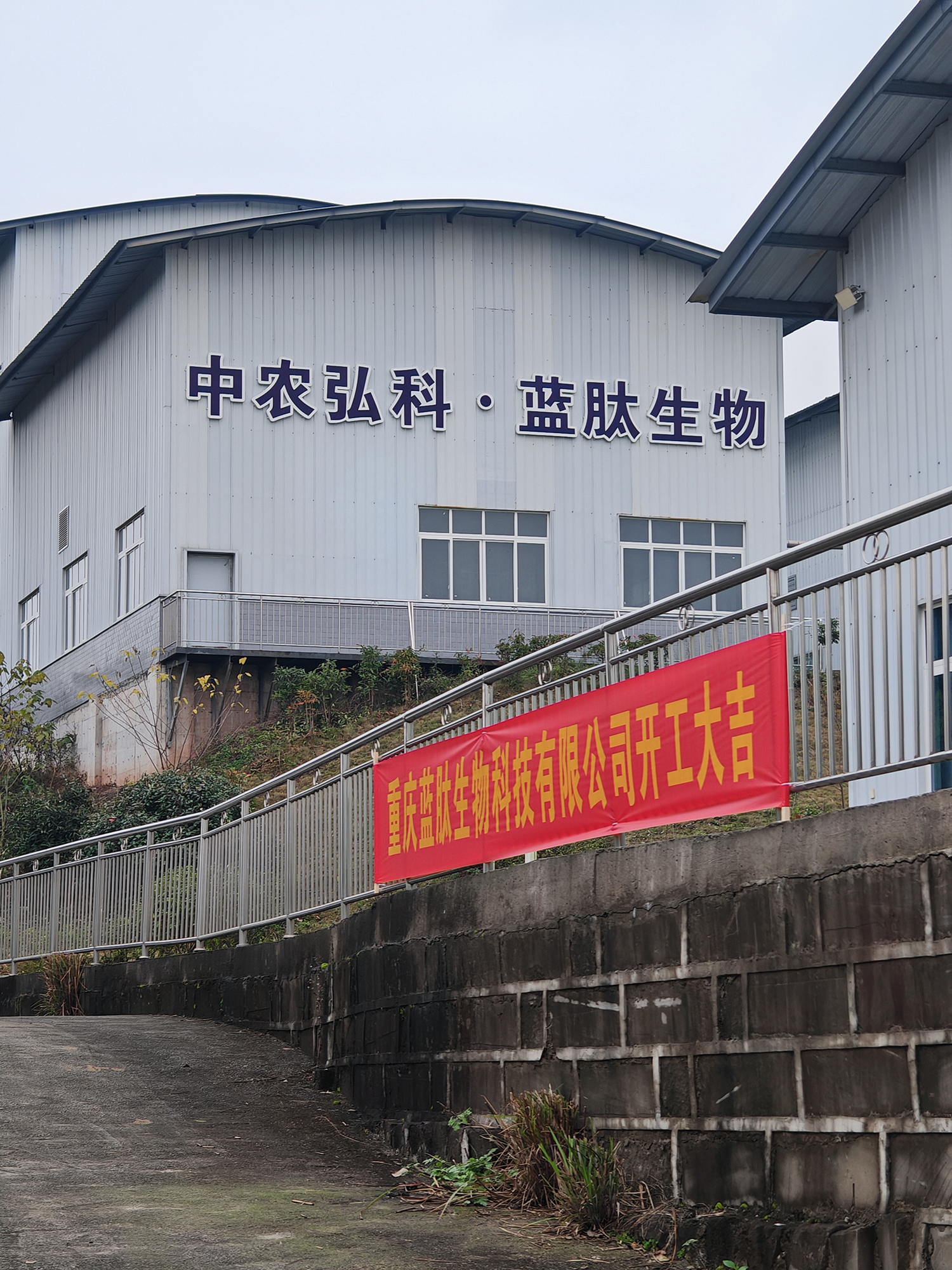 打造微生物蛋白新质生产力，开启“双碳”绿色农业新篇章